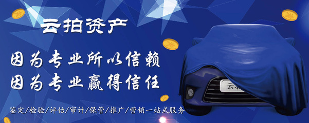 云拍资产