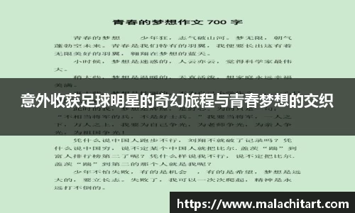 意外收获足球明星的奇幻旅程与青春梦想的交织