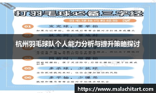 杭州羽毛球队个人能力分析与提升策略探讨